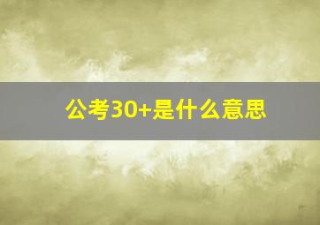 公考30+是什么意思