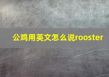 公鸡用英文怎么说rooster