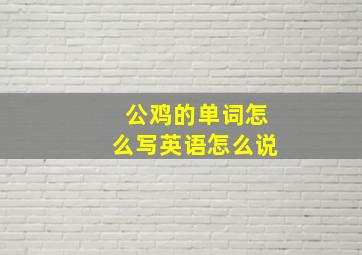 公鸡的单词怎么写英语怎么说