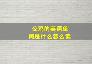 公鸡的英语单词是什么怎么读