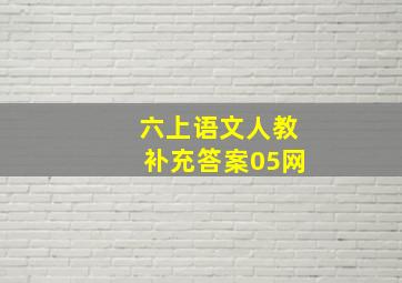 六上语文人教补充答案05网