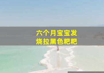 六个月宝宝发烧拉黑色粑粑