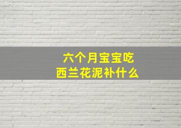 六个月宝宝吃西兰花泥补什么