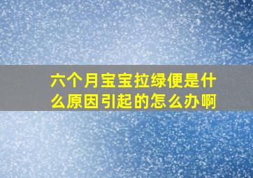 六个月宝宝拉绿便是什么原因引起的怎么办啊