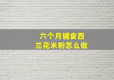 六个月辅食西兰花米粉怎么做