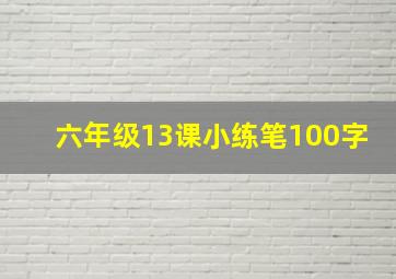 六年级13课小练笔100字