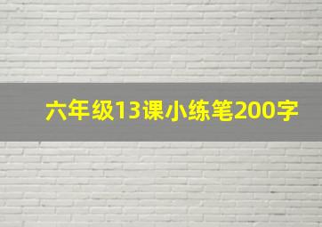 六年级13课小练笔200字