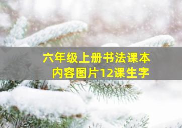 六年级上册书法课本内容图片12课生字