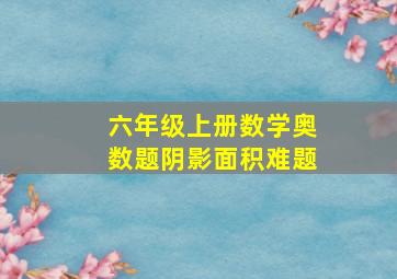 六年级上册数学奥数题阴影面积难题