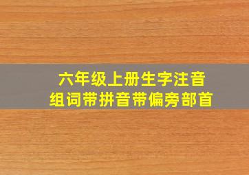 六年级上册生字注音组词带拼音带偏旁部首