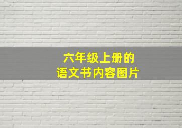 六年级上册的语文书内容图片