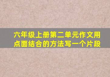 六年级上册第二单元作文用点面结合的方法写一个片段