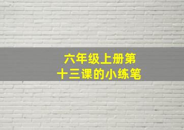 六年级上册第十三课的小练笔