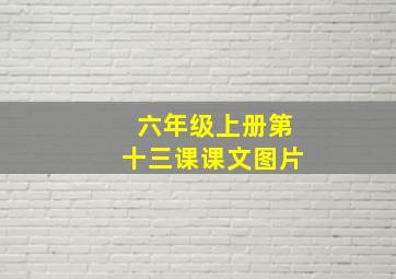 六年级上册第十三课课文图片