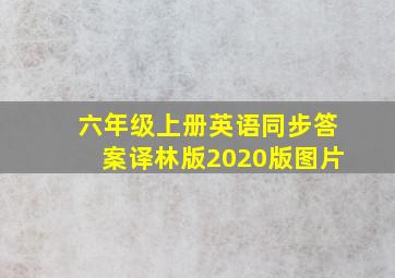 六年级上册英语同步答案译林版2020版图片