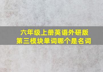 六年级上册英语外研版第三模块单词哪个是名词