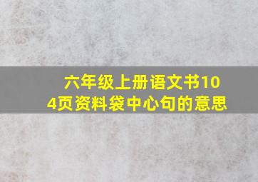 六年级上册语文书104页资料袋中心句的意思