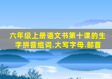 六年级上册语文书第十课的生字拼音组词.大写字母.部首