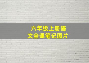 六年级上册语文全课笔记图片