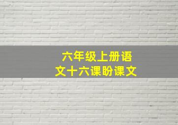 六年级上册语文十六课盼课文