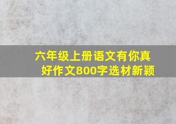 六年级上册语文有你真好作文800字选材新颖