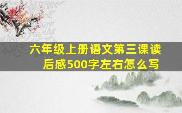 六年级上册语文第三课读后感500字左右怎么写