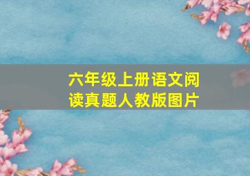 六年级上册语文阅读真题人教版图片