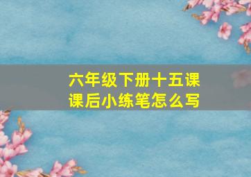 六年级下册十五课课后小练笔怎么写