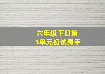 六年级下册第3单元初试身手