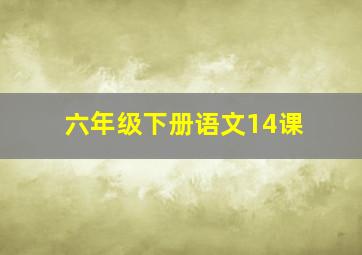 六年级下册语文14课