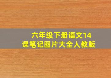 六年级下册语文14课笔记图片大全人教版