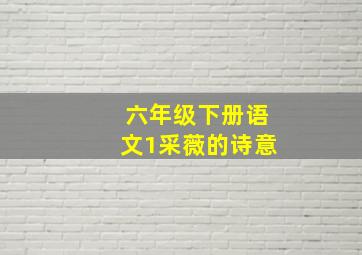 六年级下册语文1采薇的诗意