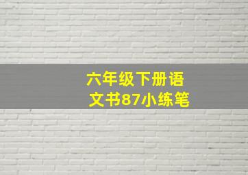 六年级下册语文书87小练笔