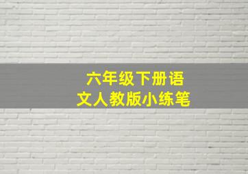 六年级下册语文人教版小练笔