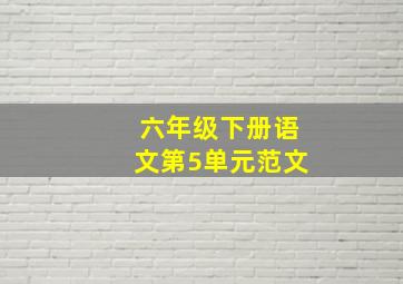 六年级下册语文第5单元范文