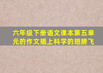 六年级下册语文课本第五单元的作文插上科学的翅膀飞