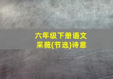 六年级下册语文采薇(节选)诗意