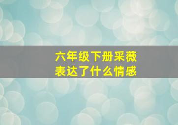 六年级下册采薇表达了什么情感