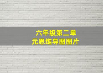 六年级第二单元思维导图图片