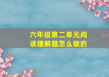 六年级第二单元阅读理解题怎么做的