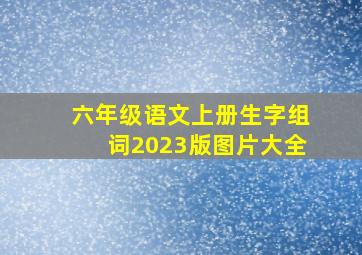 六年级语文上册生字组词2023版图片大全