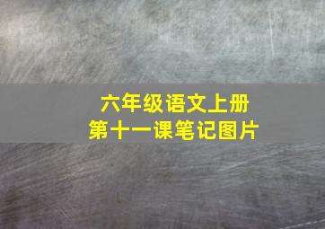 六年级语文上册第十一课笔记图片