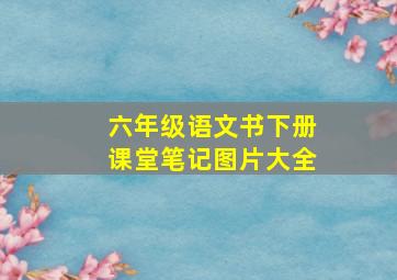 六年级语文书下册课堂笔记图片大全