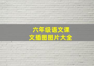 六年级语文课文插图图片大全