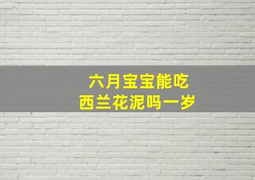 六月宝宝能吃西兰花泥吗一岁