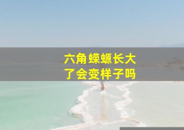 六角蝾螈长大了会变样子吗