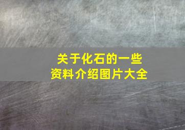 关于化石的一些资料介绍图片大全