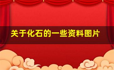 关于化石的一些资料图片