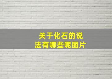 关于化石的说法有哪些呢图片