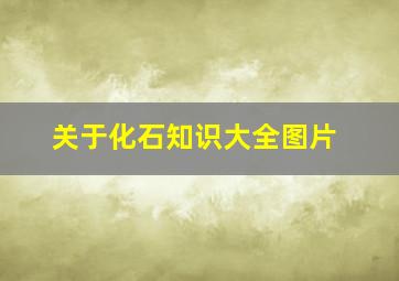 关于化石知识大全图片